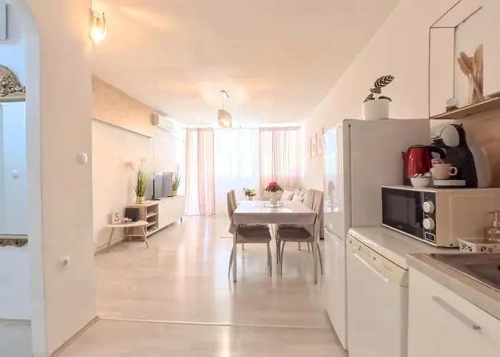 Golden Star * 斯普利特