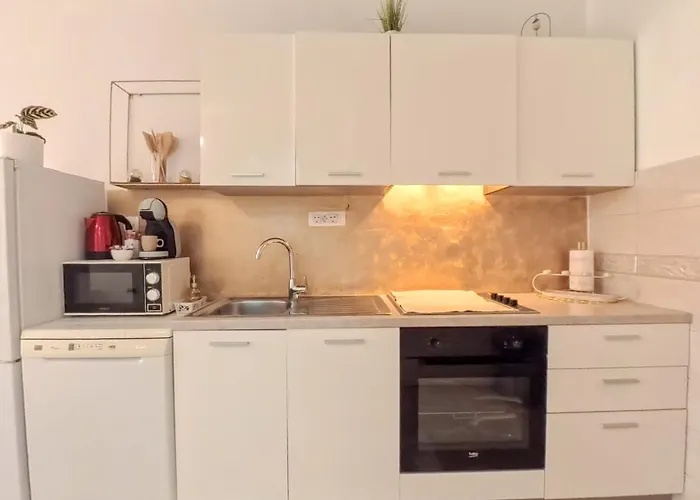 Golden Star 斯普利特